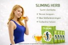 Slankende tysk urtebasert Burn Diet Slim Fit Fast Detox 50 poser thumbnail