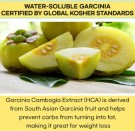 Slim Planet Yo-Yo-Cut Transglutaminase - Garcinia - Hibiscus - Lemon Balm  thumbnail