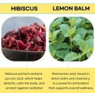 Slim Planet Yo-Yo-Cut Transglutaminase - Garcinia - Hibiscus - Lemon Balm  thumbnail