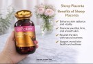 Spring Leaf Sheep Placenta 80000 mg thumbnail