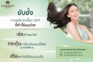 Khaokho Herbal Kaffirlime og Goto Kola organisk conditioner thumbnail